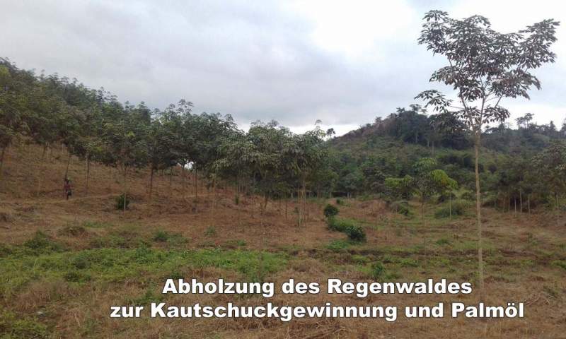 029.jpg --- erstellt mit  - www.abbe-felix.de